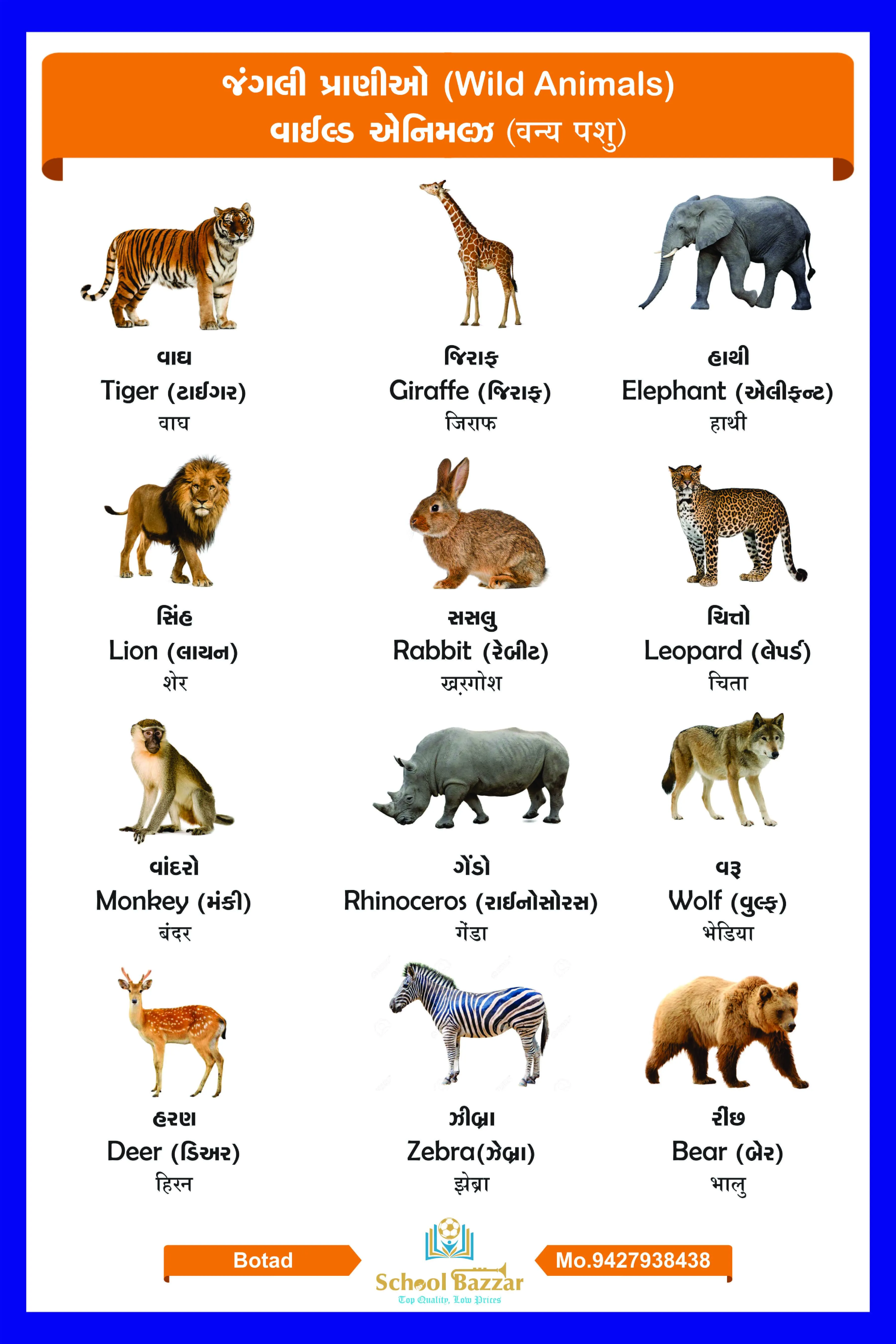 Wild Animals Wall Chart With lamination (50 x 70 cm)