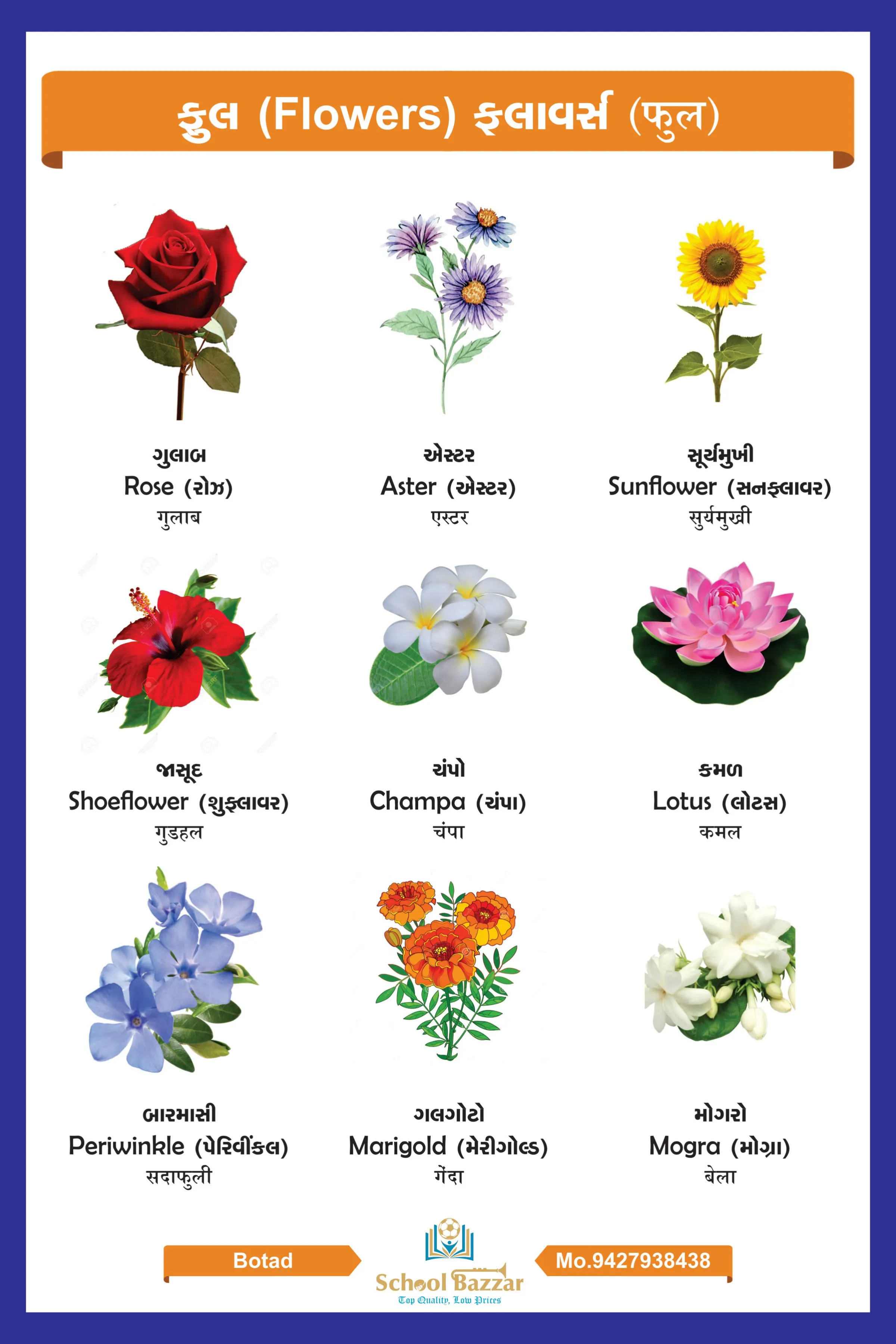 Flower Chart With lamination (50 x 70 cm) Wall Chart