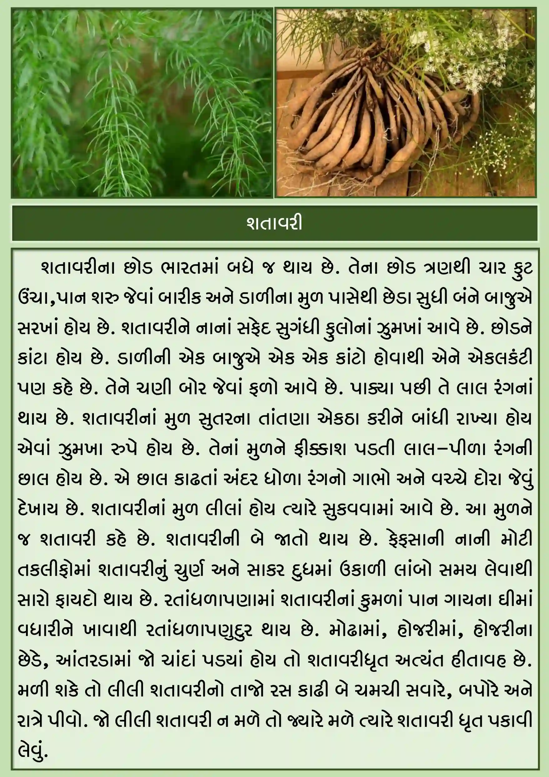 Echo club 12*18 Lamination chart (35 chart)